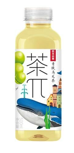 BOISSON AU THE SAVEUR PUNE VERT ET OOLONG 500ML-茶兀青提乌龙茶 500ml